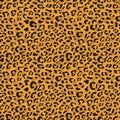 Seamless leopard vector pattern design, animal brown tile print background