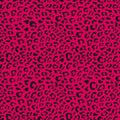 Seamless leopard vector pattern design, animal pink and black tile print background