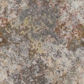 Seamless lichen background Royalty Free Stock Photo