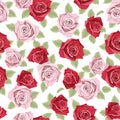 Seamless Light Pink Rose Flower And Red Rose Flower Pattern With White Color Background Royalty Free Stock Photo