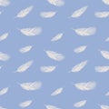 Seamless light vector background with white various bird feathers on a light blue background