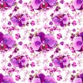Seamless lilac orchid pattern, watercolor