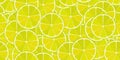 Seamless lime or lemon vector pattern. Minimalistic food background. Vitamins repeatable texture.