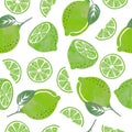 Seamless lime pattern. Fruit vector background with citrus slices Royalty Free Stock Photo