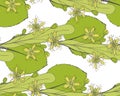 Seamless linden pattern. Ornament of a branch of a Tilia tree. Background of a basswood. Vector limetree or tree.