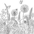 Seamless line pattern with wildflowers and insects