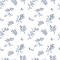 Seamless Lingonberry Branches Botanical Pattern Royalty Free Stock Photo