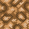 Seamless lizard skin pattern Royalty Free Stock Photo