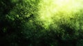 Seamless Loop Animation of Textured Green Background