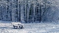 Seamless loop - snowing on a bench in a forest in winter, video HD