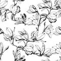 Seamless magnolia flower pattern on a white background. Hand dra