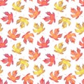 Seamless maple leaf pattern. Watercolor illustration. Hand drawn seasonal holidays celebration background. Thanksgiving Royalty Free Stock Photo