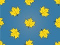 Seamless Maple Leaves Pattern