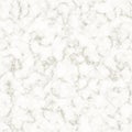 Seamless Marble Texture. Realistic White Marble with Black Veins. Elegant Background. Square tile Royalty Free Stock Photo