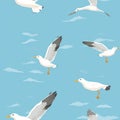 Seamless marine pattern with seagull