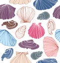 Seamless marine pattern with shells. Beautiful graphic background with seashells. Royalty Free Stock Photo