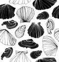 Seamless marine pattern with shells. Black and white graphic background with seashells. Royalty Free Stock Photo