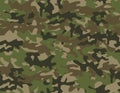 Seamless military camouflage pattern in green colour Royalty Free Stock Photo