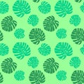 Seamless mint color tropical pattern with monstera leaves. Vector fashion design for textile print and stylish wallpaper