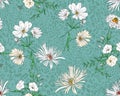 Seamless Modern Hand Drawn Floral Pattern, White Big Flowers on Mint Background. Royalty Free Stock Photo