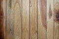 Seamless Modern wood texture. bark wood use as natural background. Vintage