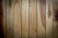 Seamless Modern wood texture. bark wood use as natural background. Vintage