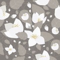 Seamless monochrome flower pattern Royalty Free Stock Photo