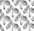 Seamless monochrome pattern with botanical sketch of marigold flower and branch with leaves. Vector textile with floral natural Royalty Free Stock Photo