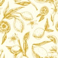 Seamless monochrome pattern with citrus fruits on blooming lemon tree branches with leaves. Endless repeatable