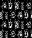 Seamless monochrome pattern with geometric chalk insects in row on black background.