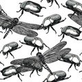 Seamless monochrome pattern with insects. Royalty Free Stock Photo