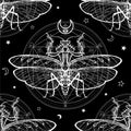 Seamless monochrome pattern: mantis ghost, alchemical circle of transformations.