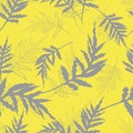 Seamless monochrome pattern with tropical gray fern leaves. Botanical summer texture.