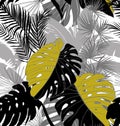 Seamless monochrome pattern with tropical plants with grey and black colors