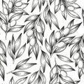 Seamless monochrome vector pattern with hand drawn jojoba branches and leaves isolated on white background. Botanical design for Royalty Free Stock Photo