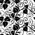 Seamless morning-glory black isolated background Royalty Free Stock Photo
