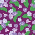 Seamless morning glory pattern on purple background