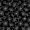 Seamless narcissus pattern, black background