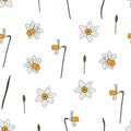 Seamless narcissus pattern