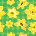 Seamless narcissus pattern. Vector illustration