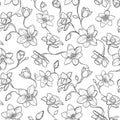 Seamless narcissus pattern, white background