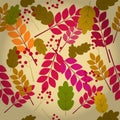 Seamless natural autumn pattern Royalty Free Stock Photo