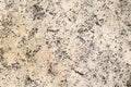 Seamless natural coquina shell rock texture