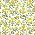 Seamless natural plant pattern with leaves