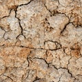 Seamless natural texture - cracked clay ground Royalty Free Stock Photo