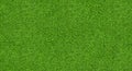 Seamless natured green grass field texture banner background Royalty Free Stock Photo