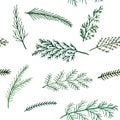 Seamless New Year pattern background spruce twigs on a white background Royalty Free Stock Photo