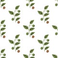 Seamless nutmeg pattern