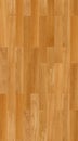 Seamless oak floor texture Royalty Free Stock Photo