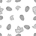 Seamless objects small. Sprig of blooming hops and leaves. Black and white hand drawn image.